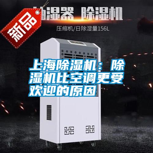 上海麻豆视频黄网站：麻豆视频黄网站比空调更受欢迎的原因
