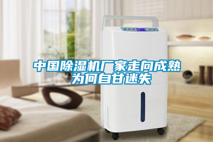 中国麻豆视频黄网站厂家走向成熟 为何自甘迷失
