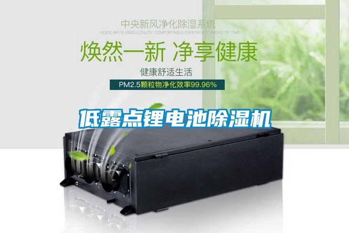 低露点锂电池麻豆视频黄网站
