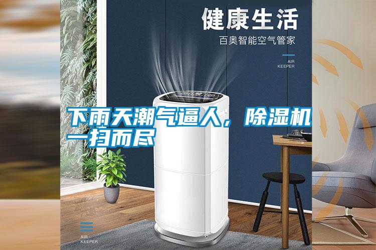 下雨天潮气逼人，麻豆视频黄网站一扫而尽