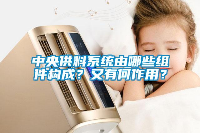 中央供料系统由哪些组件构成？又有何作用？