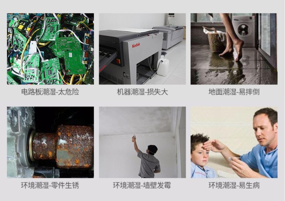 智能麻豆视频黄网站