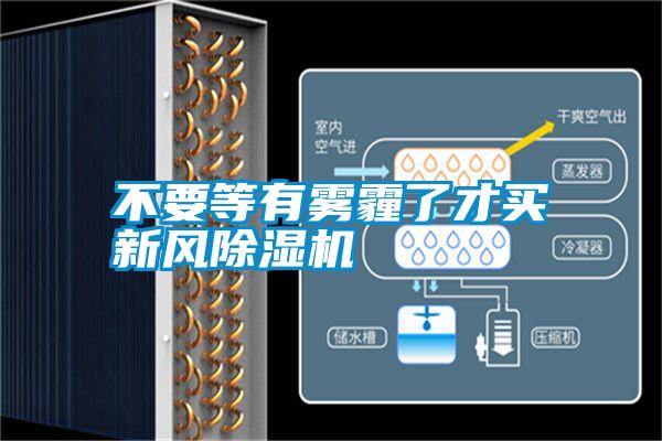 不要等有雾霾了才买新风麻豆视频黄网站