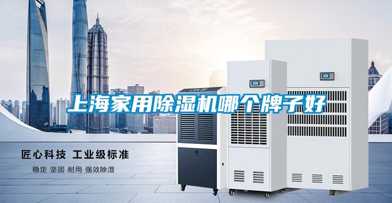 上海家用麻豆视频黄网站哪个牌子好