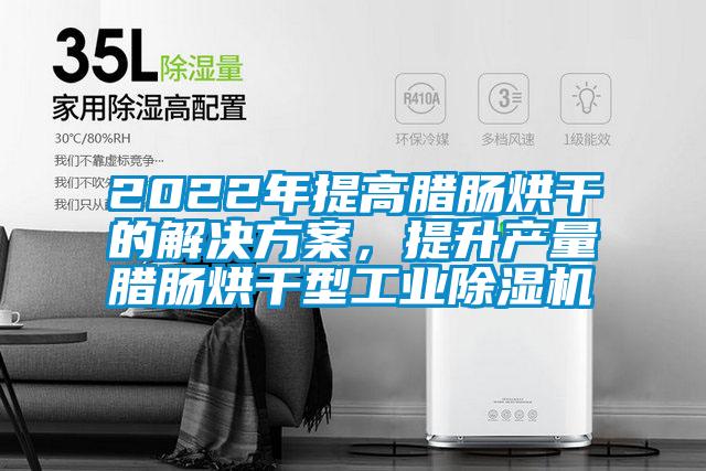 2022年提高腊肠烘干的国产麻豆剧果冻传媒星空视频，提升产量腊肠烘干型工业麻豆视频黄网站