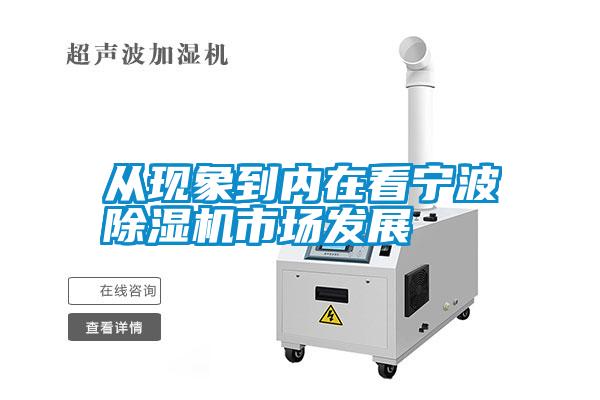 从现象到内在看宁波麻豆视频黄网站市场发展