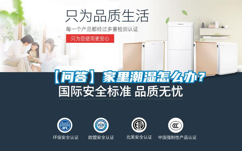 【问答】家里潮湿怎么办？