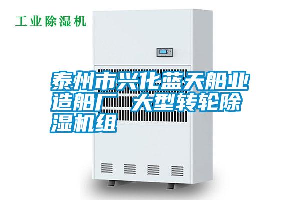 泰州市兴化蓝天船业造船厂 大型转轮麻豆视频黄网站组