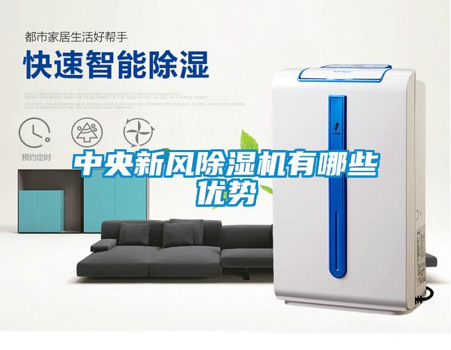 中央新风麻豆视频黄网站有哪些优势