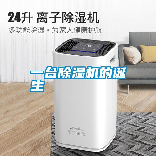 一台麻豆视频黄网站的诞生