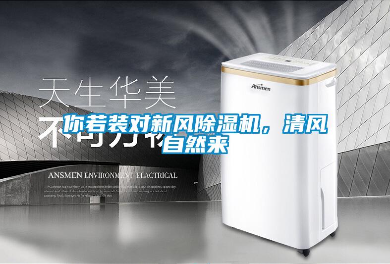 你若装对新风麻豆视频黄网站，清风自然来