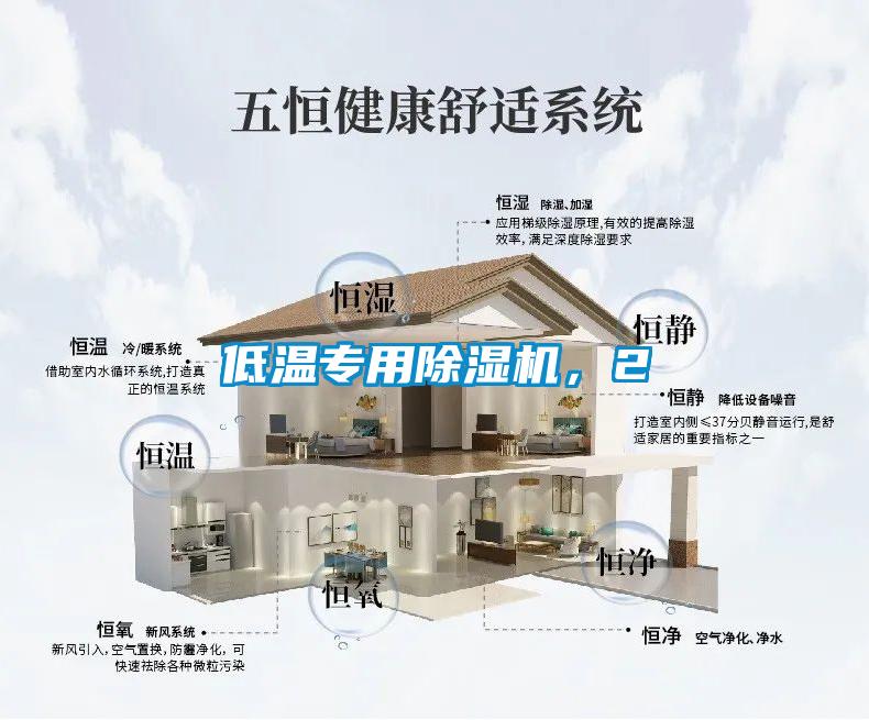 低温专用麻豆视频黄网站，2