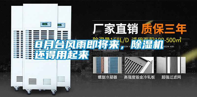 8月台风雨即将来，麻豆视频黄网站还得用起来