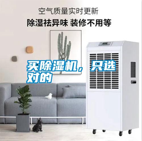 买麻豆视频黄网站，只选对的