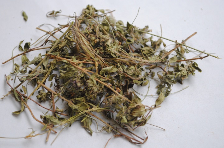 麻豆APP官网烘干机