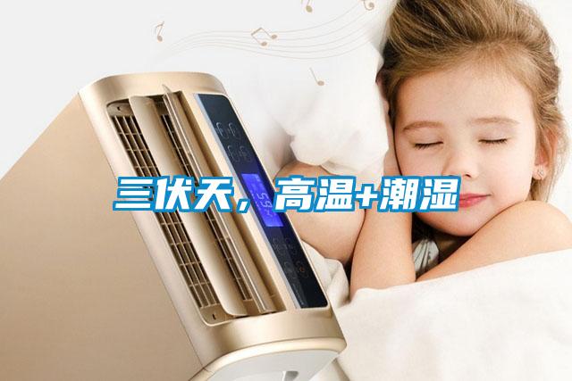三伏天，高温+潮湿