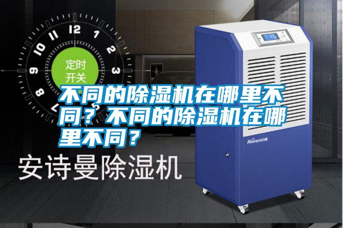 不同的麻豆视频黄网站在哪里不同？不同的麻豆视频黄网站在哪里不同？