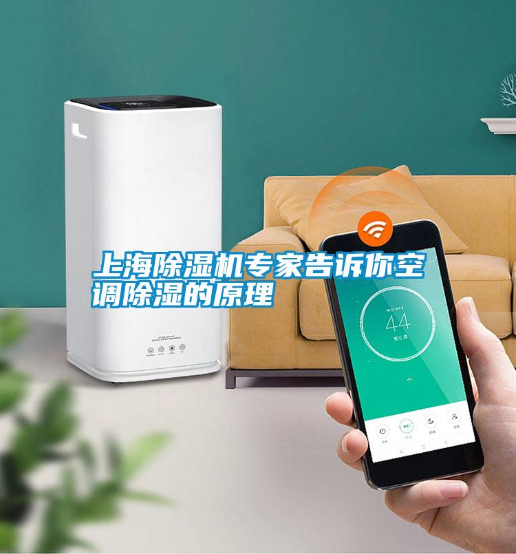 上海麻豆视频黄网站专家告诉你空调除湿的原理