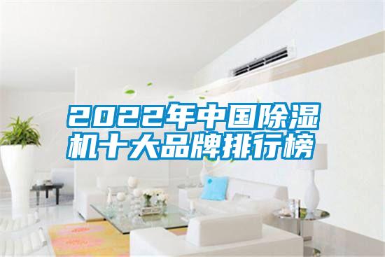 2022年中国麻豆视频黄网站十大品牌排行榜