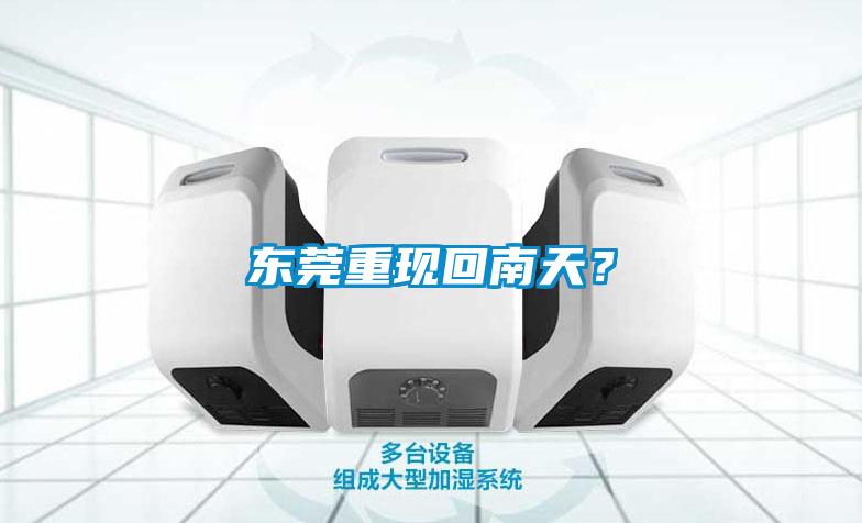 东莞重现回南天？
