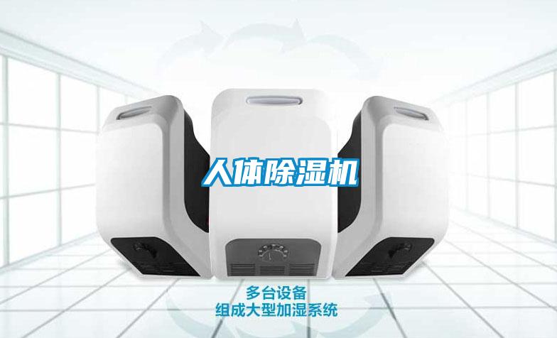 人体麻豆视频黄网站