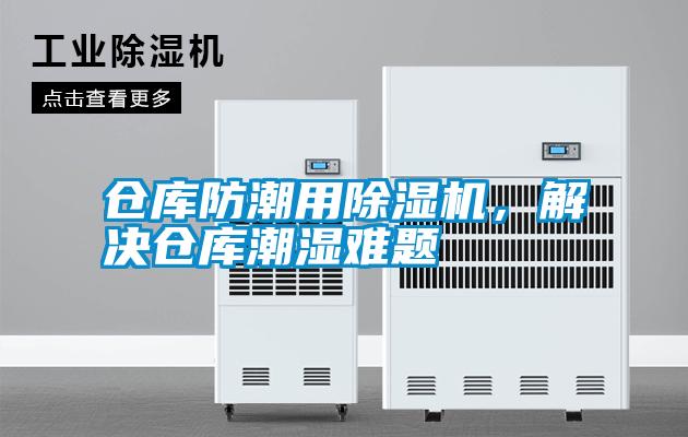 仓库防潮用麻豆视频黄网站，解决仓库潮湿难题