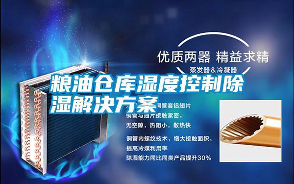 粮油仓库湿度控制除湿国产麻豆剧果冻传媒星空视频
