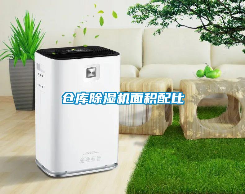 仓库麻豆视频黄网站面积配比