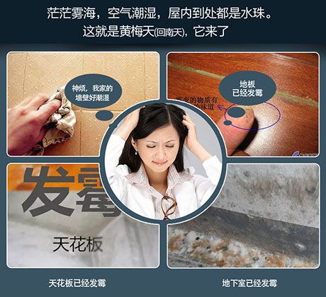 家庭别墅的地下室、卫生间、储物室等该如何除湿？