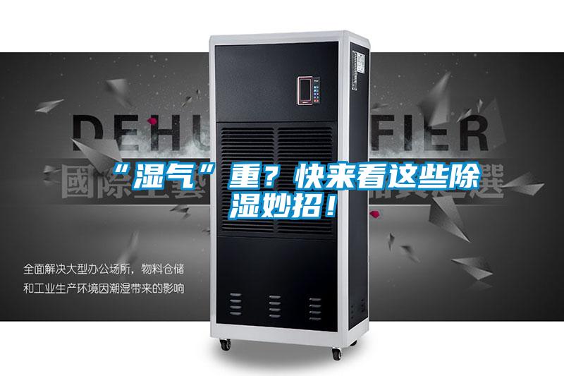 “湿气”重？快来看这些除湿妙招！