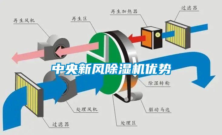 中央新风麻豆视频黄网站优势