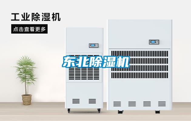 东北麻豆视频黄网站