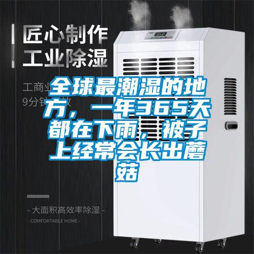 全球最潮湿的地方，一年365天都在下雨，被子上经常会长出蘑菇