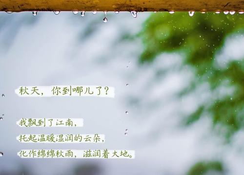 “无晴”阴雨天 “有晴”麻豆视频黄网站