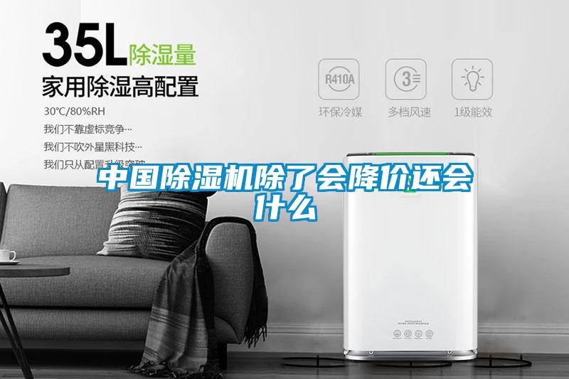 中国麻豆视频黄网站除了会降价还会什么