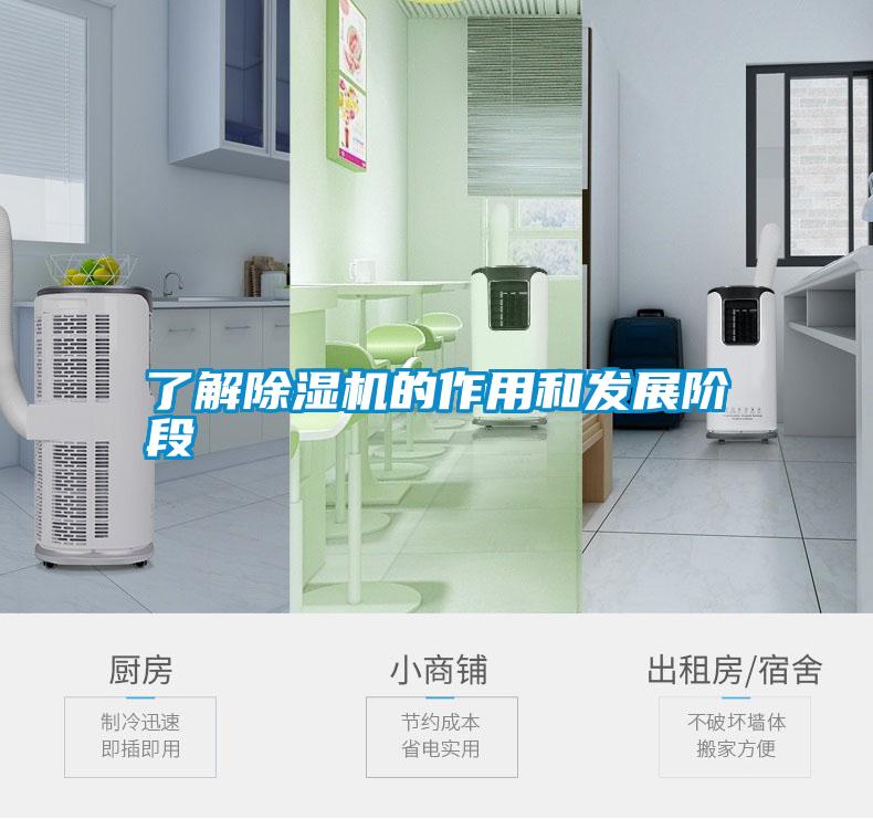 了解麻豆视频黄网站的作用和发展阶段