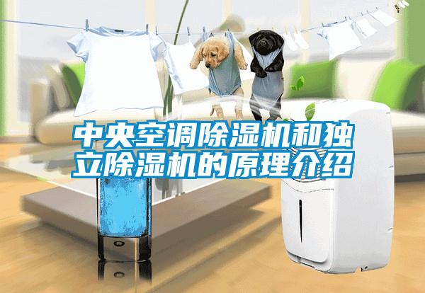 中央空调麻豆视频黄网站和独立麻豆视频黄网站的原理介绍