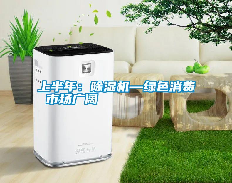 上半年：麻豆视频黄网站—绿色消费 市场广阔