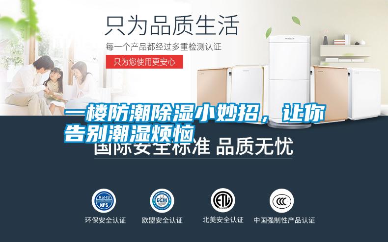 一楼防潮除湿小妙招，让你告别潮湿烦恼