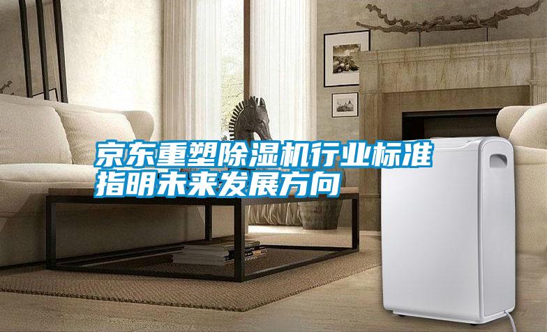 京东重塑麻豆视频黄网站行业标准 指明未来发展方向