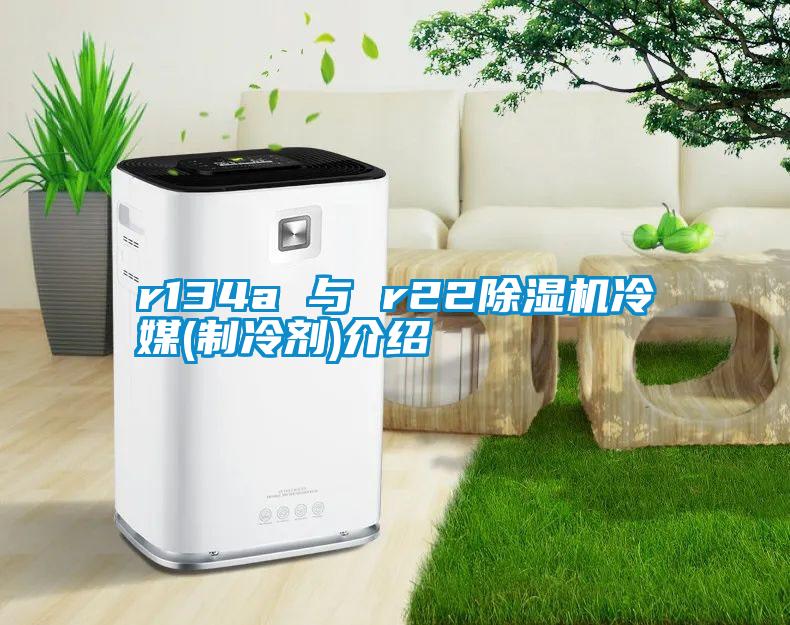 r134a 与 r22麻豆视频黄网站冷媒(制冷剂)介绍