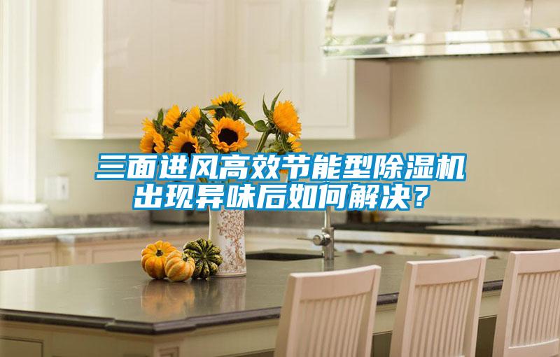 三面进风高效节能型麻豆视频黄网站出现异味后如何解决？