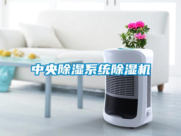 中央除湿系统麻豆视频黄网站