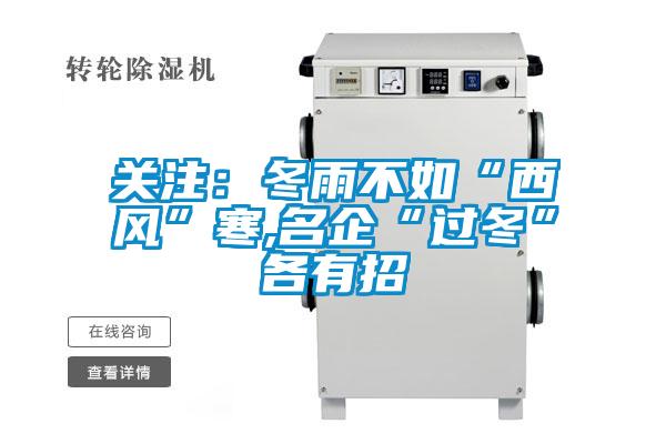 关注：冬雨不如“西风”寒,名企“过冬”各有招