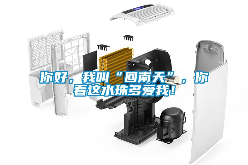 你好，我叫“回南天”，你看这水珠多爱我！