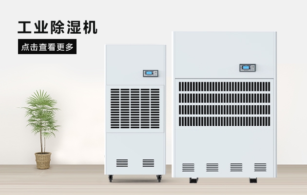 三八节送妈妈的礼物，选这款麻豆APP官网除湿器就对了