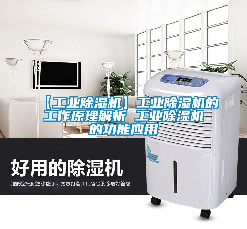 【工业麻豆视频黄网站】工业麻豆视频黄网站的工作原理解析 工业麻豆视频黄网站的功能应用