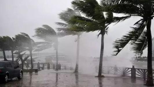 8月台风雨即将来，麻豆视频黄网站还得用起来