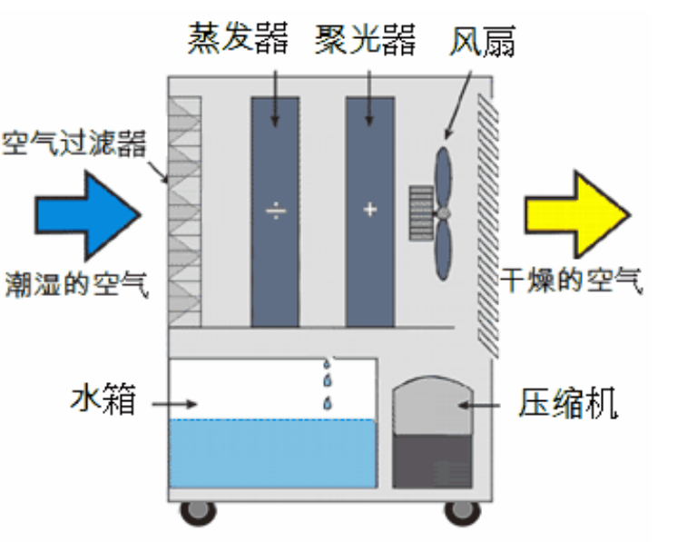 转轮麻豆视频黄网站启动不正常的原因