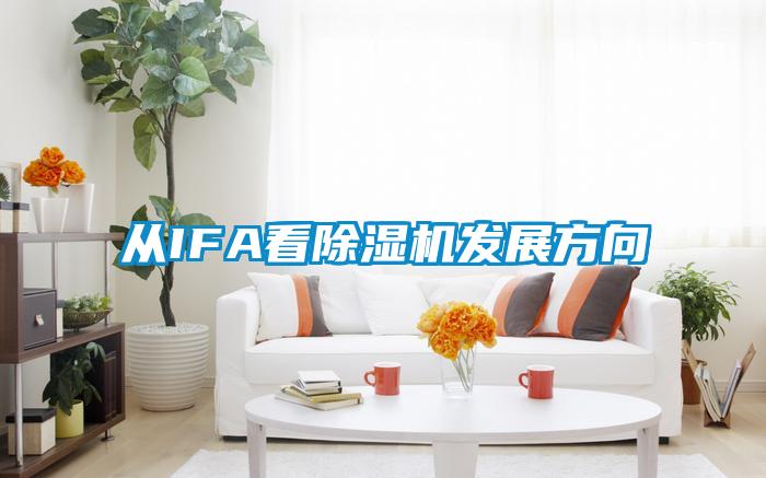 从IFA看麻豆视频黄网站发展方向